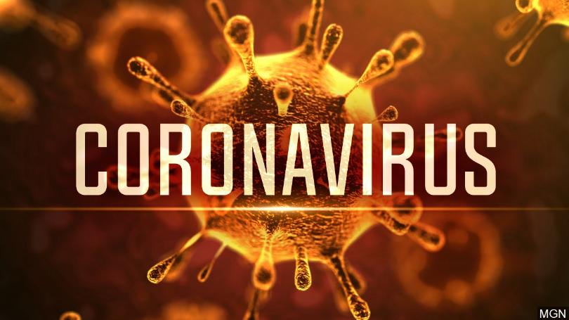 Coronavirus disease (COVID-19): ‘সত্য মিথ্যা যাচাই আগে, ইন্টারনেটে শেয়ার পরে’